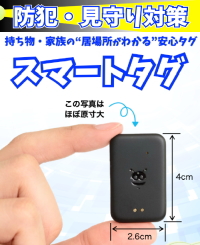 防犯見守り